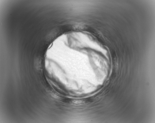 X0000075330619200609292010