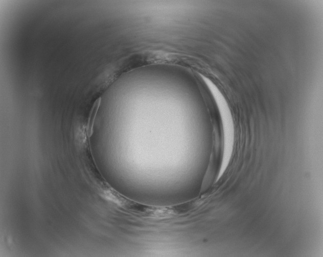 X0000075330621200609292010