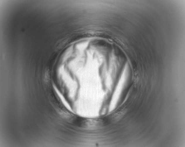 X0000075330623200609292010