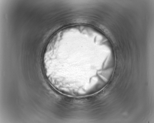 X0000075330625200609292009