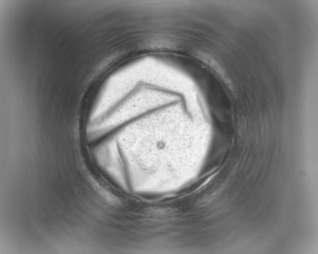 X0000075330629200609292009