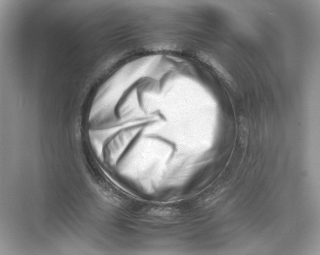 X0000075330631200609292009