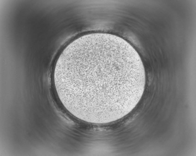 X0000075330632200609292009