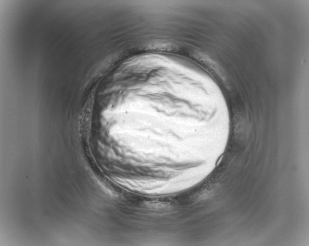 X0000075330633200609292009