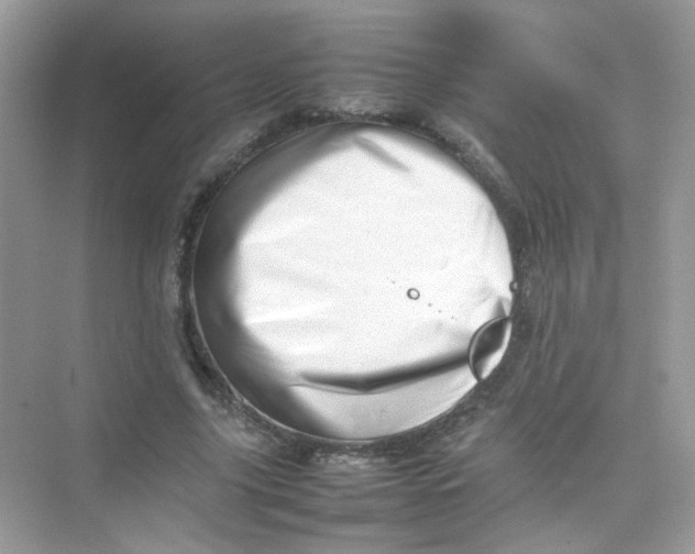 X0000075330635200609292009