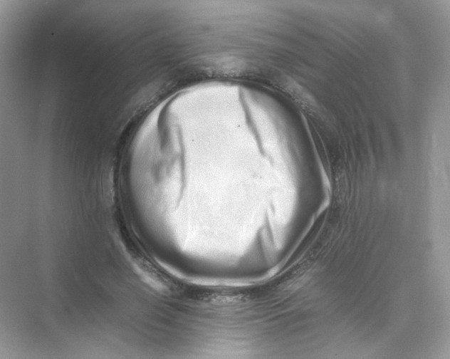 X0000075330638200609292009