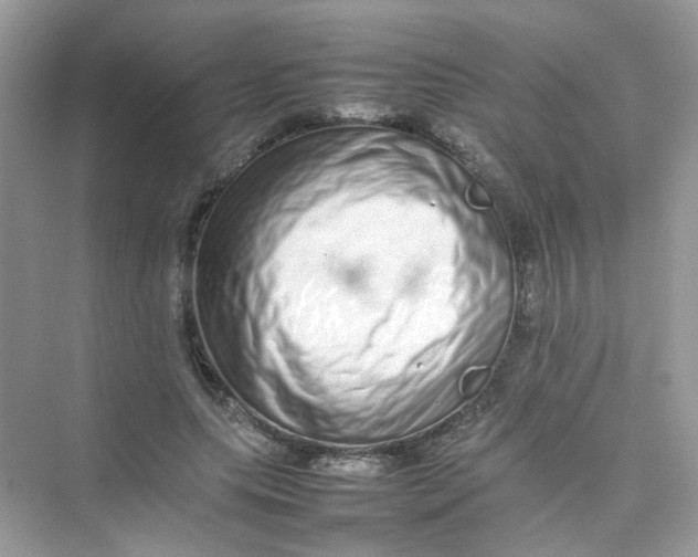 X0000075330639200609292009