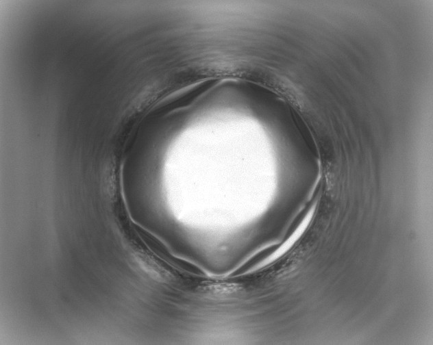 X0000075330642200609292009
