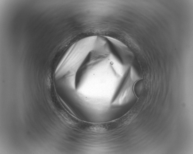 X0000075330644200609292009