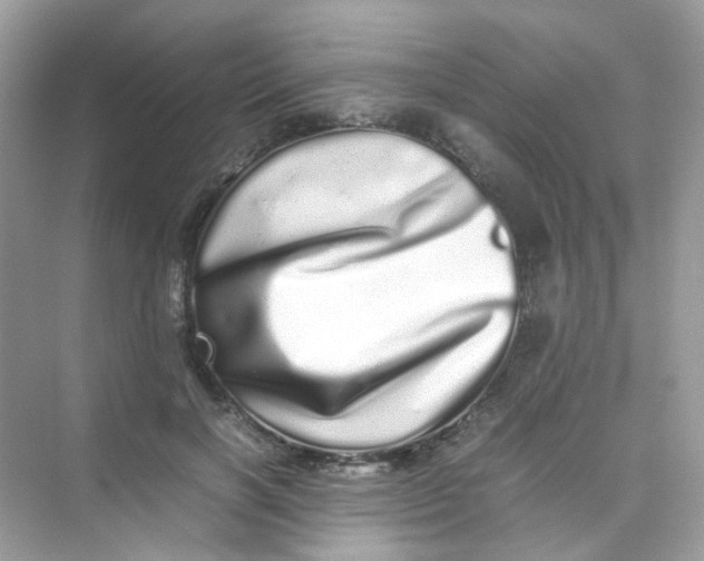 X0000075330646200609292009