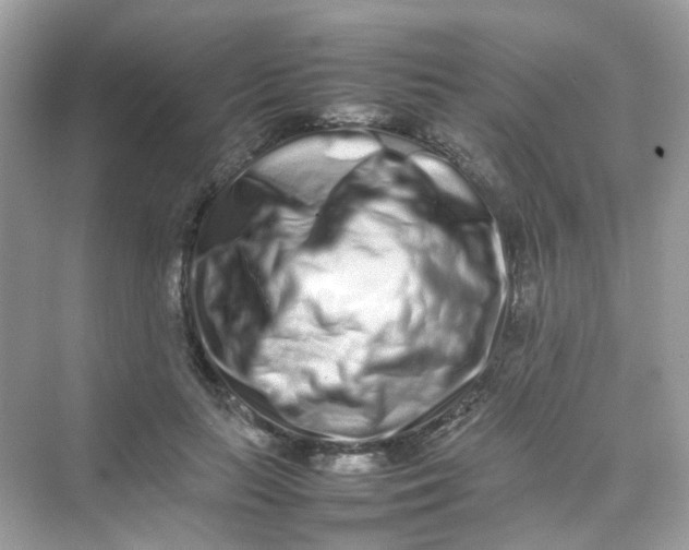 X0000075330647200609292009