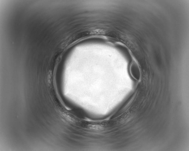X0000075330649200609292010
