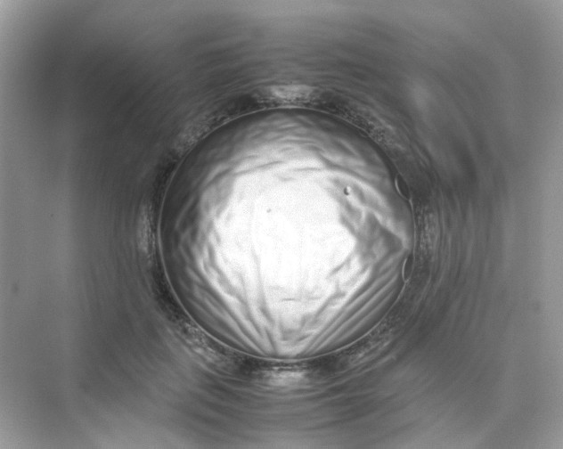 X0000075330651200609292010