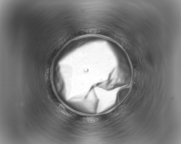 X0000075330652200609292010