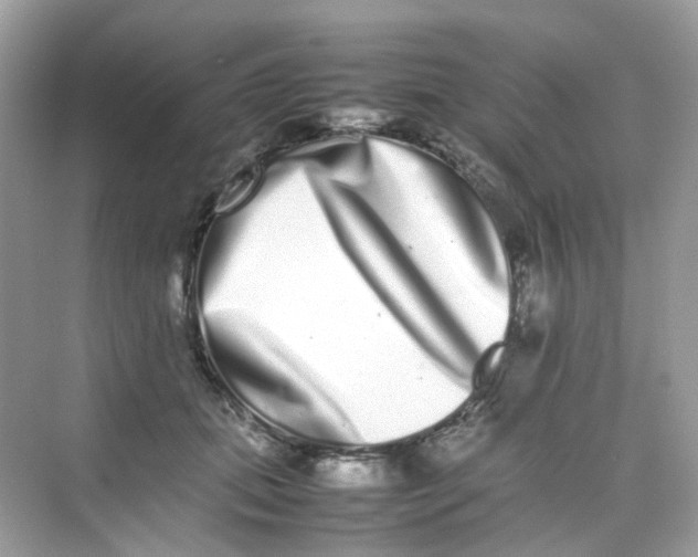 X0000075330655200609292010
