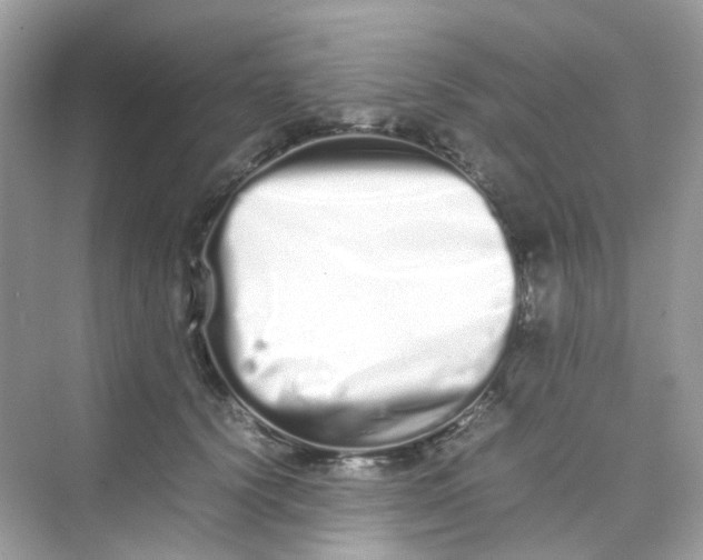 X0000075330656200609292010