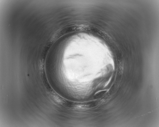 X0000075330657200609292010