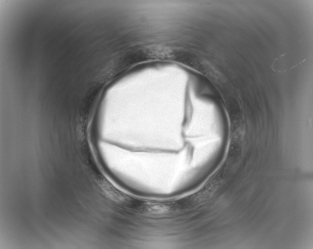 X0000075330658200609292010