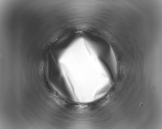 X0000075330660200609292010