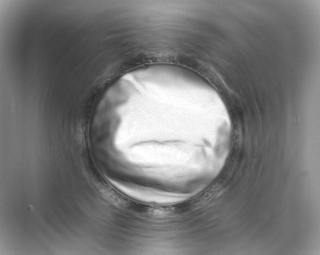 X0000075330662200609292010