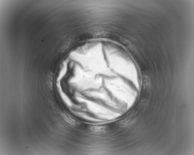 X0000075330664200609292010