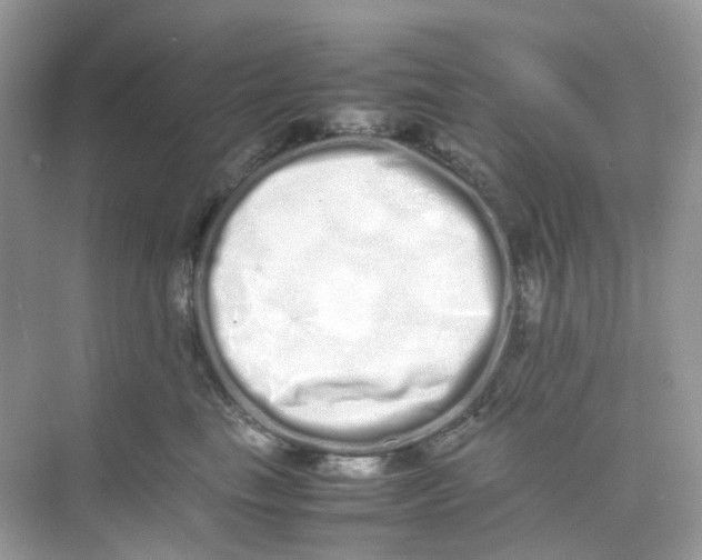 X0000075330665200609292010
