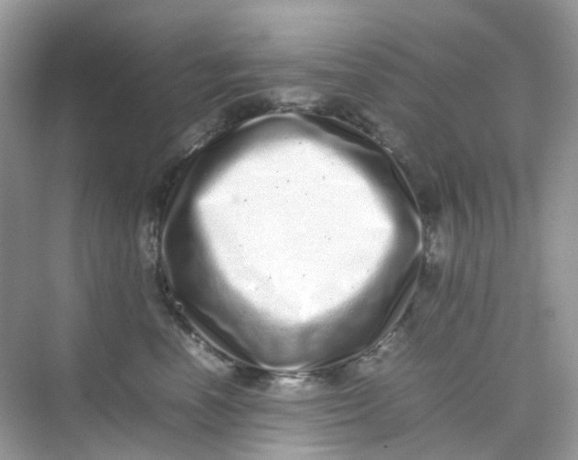 X0000075330666200609292010