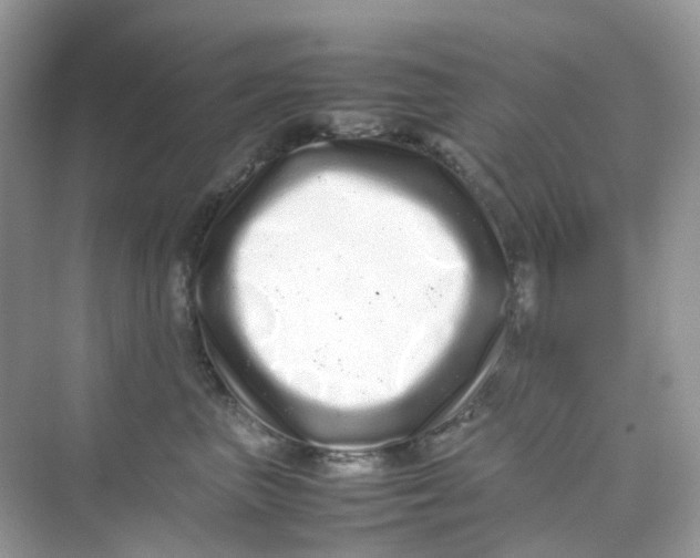 X0000075330667200609292010