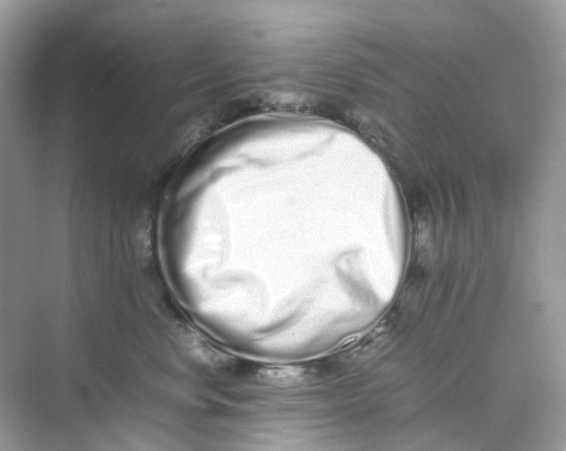 X0000075330668200609292010