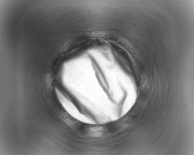 X0000075330669200609292010