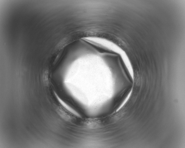 X0000075330670200609292010
