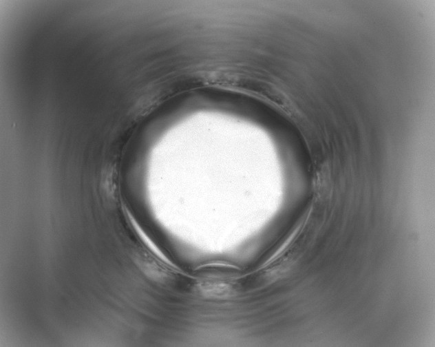 X0000075330671200609292010