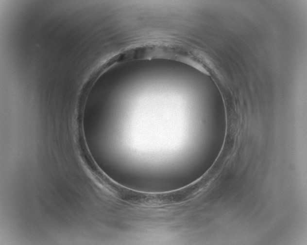 X0000075330677200609292009