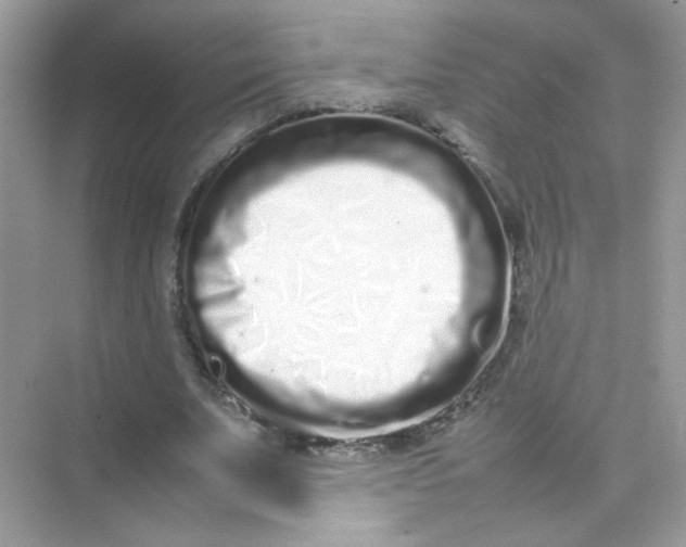X0000075330679200609292009