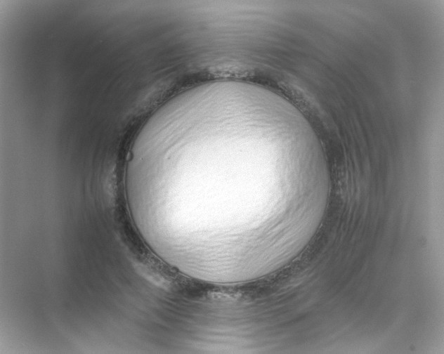 X0000075330690200609292009