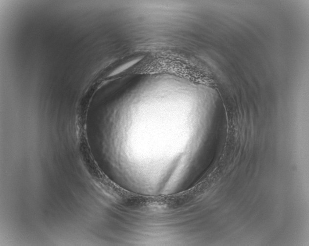 X0000075330692200609292009