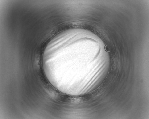 X0000075330698200609292009