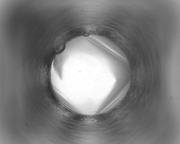 X0000075330702200609292009