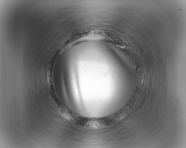 X0000075330704200609292009