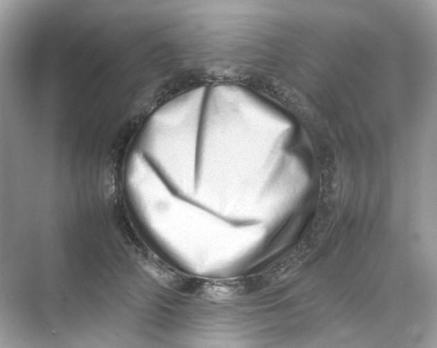 X0000075330706200609292009