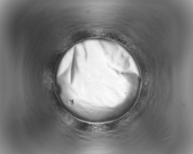 X0000075330707200609292009