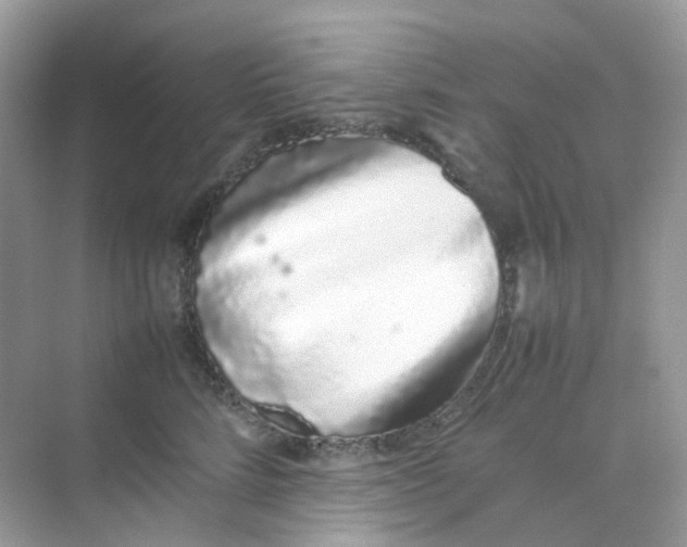 X0000075330712200609292008