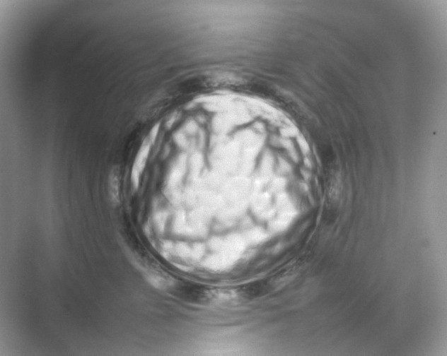 X0000075330715200609292008