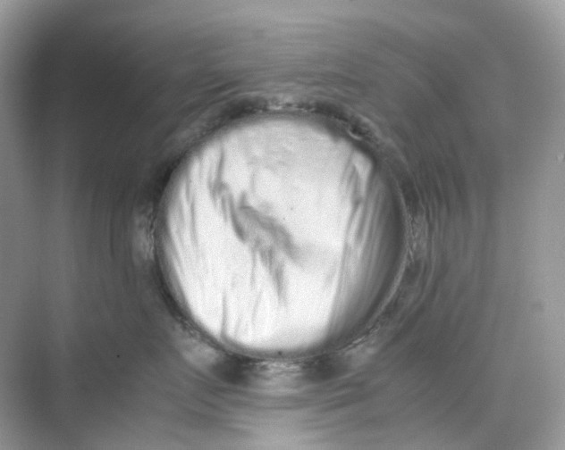 X0000075330719200609292008