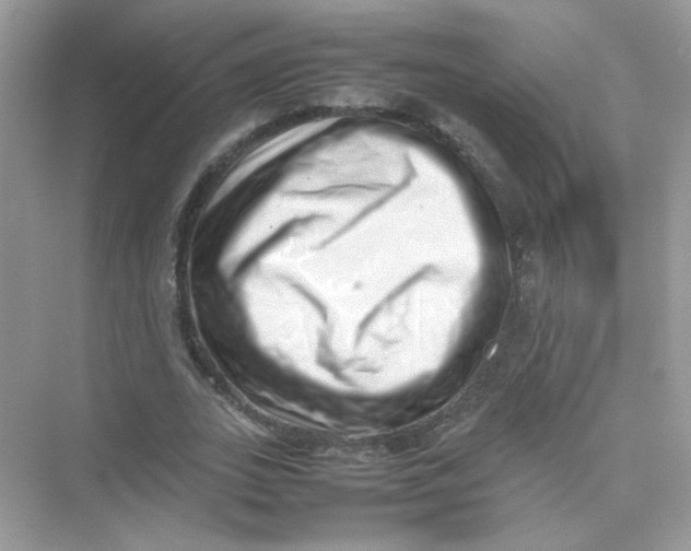 X0000075330727200609292008