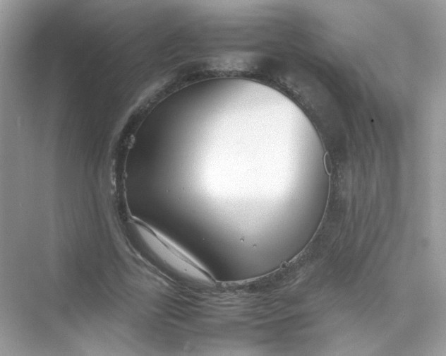 X0000075330731200609292008