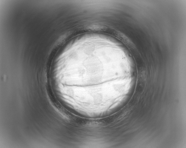 X0000075330734200609292008