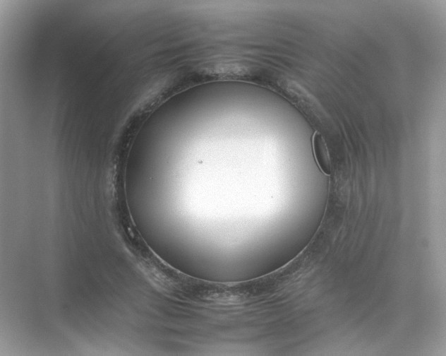 X0000075330735200609292008