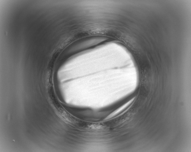 X0000075330742200609292008