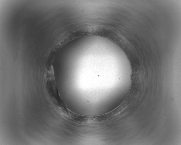 X0000075330750200609292008